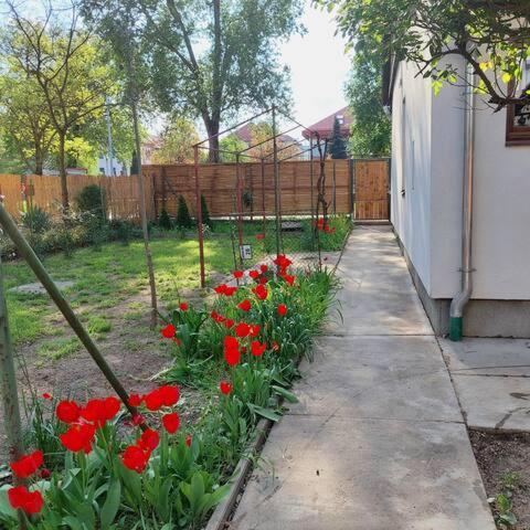 Ujszeged Apartman Екстериор снимка